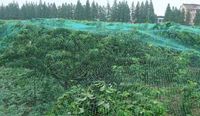 Best Sale Hdpe Geknoopt Anti Vogel Bescherming Net Vogel Mesh Anti Vogel Net Voor Fruitboom Tuin