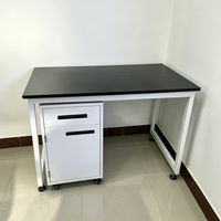 Mesa de Laboratorio con Estructura de Acero Simple y Gabinete Móvil con Base, Superficie de Resina Fenólica, Mesa de Laboratorio Anticorrosiva, Tamaño Personalizado