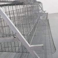 Cages à poules de type A galvanisées à chaud, adaptées aux fermes avicoles, directement du fabricant.
