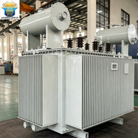 Transformateur de puissance triphasé immergé dans l'huile 35 kV 8000 kVA, série S11, type conservateur, transformateur de distribution