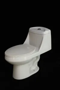 China Supplied White Ceramic PP Slow Lowering Cover Hotel Home Bathroom 1 Piece Toilet Wc Toilets