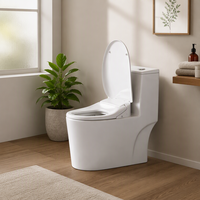 Siège de bidet intelligent innovant 2026 avec couvercle de toilette automatique, étanche IPX4, lumière nocturne, température réglable, directement de l'usine