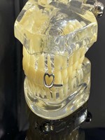 Grillz double rangée à lignes horizontales, style hip-hop ajouré, bijoux dentaires pour le quotidien et la rue, accessoires polyvalents en gros