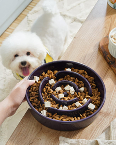 Ciotole Moderne in Ceramica Arrotondate per Cani, Ciotola Puzzle Slow Feeder per Razze Piccole e Medie, per Mangiatori Veloci, Uso Interno - Product Image 2