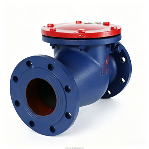 Válvula de Retención de Columpio de Hierro Fundido Gris DN40-DN400 con Brida y Sello Duro CI, Válvula Antirretorno para Tuberías de Calefacción de Agua - Product Image 3