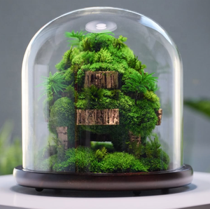 Plantes Décoratives de Bureau, Décoration de <span class=keywords><strong>Terrarium</strong></span>, Collection de Sculptures Botaniques, <span class=keywords><strong>Terrarium</strong></span> en Verre, <span class=keywords><strong>Terrarium</strong></span> de Plantes en Verre, <span class=keywords><strong>Terrarium</strong></span> de Mousse Préservée - Product Image 2
