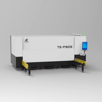 Machine de découpe laser CNC TS-P3015 à plateforme unique, plateforme coulissante grand format, armoire de commande intégrée, régulateur de tension