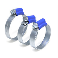 Colliers de serrage à vis sans fin réglables Colliers de serrage britanniques en acier galvanisé avec boîtier bleu Acier inoxydable Acier au carbone argenté