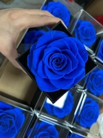 Boîte de rangement en gros pour fleurs rouges naturelles préservées faites à la main, idéale pour la Saint-Valentin, les anniversaires, ou comme boîte à bijoux pour roses éternelles