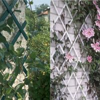 Soporte Expandible para Plantas Trepadoras WholesalGarden, Blanco, Premium para Exteriores