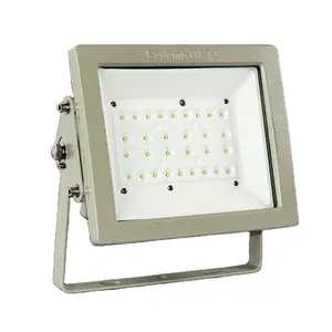 Atex Kelas 1 Div 1 Nema 4x Led Explosion Proof Flood Lighting untuk Dijual