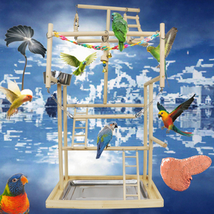 Support de jeu interactif en bois pour perroquet avec échelles et mangeoires pour l'activité des oiseaux - Product Image 3