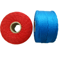 Fabricant de ficelle d'emballage en plastique de couleur personnalisée tressée en corde de ficelle PE torsadée en polyéthylène PE