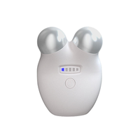 Appareil de lifting facial pratique, rechargeable par Type-C, 400 mAh, mini, compact, léger (120 g), portable pour les voyages, outil de massage spa