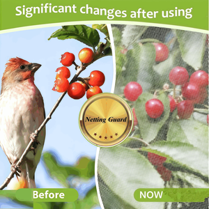 Filet de protection pour arbres fruitiers et plantes de <span class=keywords><strong>jardin</strong></span>, barrière anti-insectes et oiseaux, pour tomates et myrtilles - Product Image 4