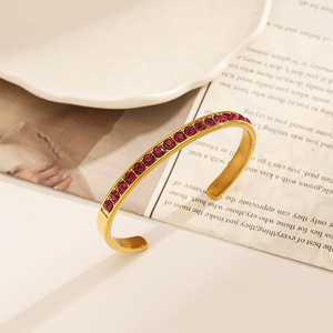 Stainless Steel <b>Bracelet</b> <b>Red</b> Zircon Channel Setting Geometric Design Women's Jewelry Gift - Product Image 2