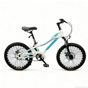 Vélo de montagne pour enfants de 20 pouces pour enfants de 8 à 12 ans avec suspension avant - Product Image 1