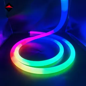 24V addressable led strip 360 degree dia 25mm magic dream RGB RGBIC 360 led neon flex strips light