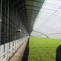 Hangmei chine serre solaire économiseuse d'énergie pour le climat froid