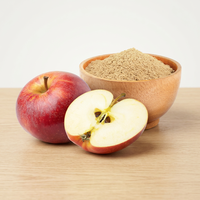 Fijn appelvruchtextractpoeder, natuurlijk gedroogd fruit ingrediënt voor dranken, bakken, smoothies, voedselmixen, groothandel.
