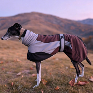 Pet Windspiel Iggy Hunde Zubehör Accessoire pour animaux de compagnie Snoody Sighthound Whippet Italian Greyhound Vêtements Polaire pour chien - Product Image 3