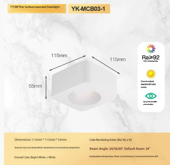 Single head 12W (all white version)