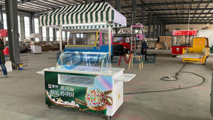 Chariot de pousse-pousse personnalisé pour la crème glacée, la restauration rapide, le snack, la remorque à main mobile avec congélateur et auvent, le transport spécial - Product Image 3