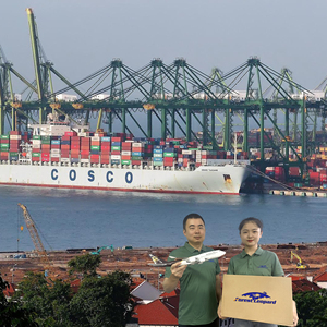 ForestLeopard International Shipping Courier Logistics <strong>Service</strong> Sea Cargo LCL+Express DDP Door Delivery Shenzhen Japan Korea - Product Image 5