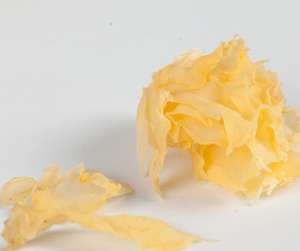 Jamur telinga salju jamur perak putih dan gusi persik dapat dimakan alami campur - Product Image 5