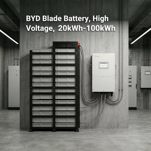 Sistemas de Almacenamiento de Energía Comerciales e Industriales en Contenedor con Batería de Alto Voltaje BYD Blade de 50kwh, 60kwh, 80kwh y 100kwh, con 10 Años de Garantía - Product Image 1