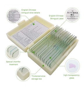 Preparazione Biologica per Scienze Mediche, Marca YULIN, Vetrini Microscopici in Vetro per Uso Generale, Estratti Vegetali per Insegnamento <span class=keywords><strong>HE</strong></span>, Certificati CE/ISO - Product Image 4