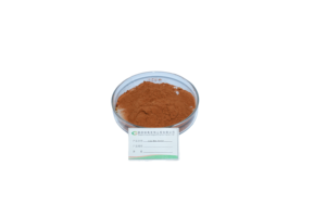 Extrait Double de Crinière de <span class=keywords><strong>Lion</strong></span> en Poudre - Extrait de Champignon Hericium Erinaceus - Soutien Cognitif, Santé Immunitaire et Intestinale - Matière Première - Product Image 3
