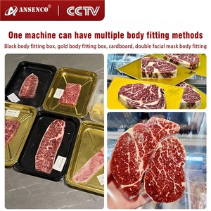 Fully Automatic Electric High Rigidity <b>Vacuum</b> Skin-Packaging Machine for Barbecue Salmon Steak Seafood Durian Meat Foil - Product Image 5