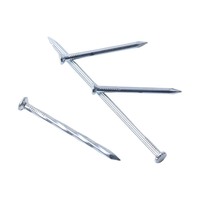 Clous en acier galvanisé trempé pour maçonnerie, construction, menuiserie, mur en briques, ciment, bois, quincaillerie de fixation