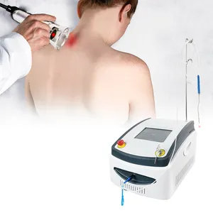 High Power Laser Therapie Yaser 980nm 60W Voor Pijnverlichting Koude Laser Fysiotherapie