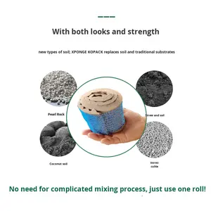 Esponja Minimalista para <span class=keywords><strong>Suculentas</strong></span> sin Tierra, <span class=keywords><strong>Sustrato</strong></span> Hidropónico, Hecha a Mano, para Flores/Plantas Verdes - Product Image 2