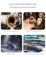 Filtre à eau de douche multi-étapes au charbon actif et au chlore pour usage domestique, marque privée, qualité supérieure