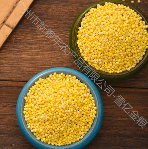 <span class=keywords><strong>Millet</strong></span> Glutineux Premium Dahuang – Riz Traditionnel Chinois à Grains Entiers – <span class=keywords><strong>Millet</strong></span> Riche en Nutriments pour Porridge et Pâtisserie – Vente en Gros - Product Image 4