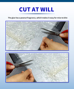 Trampas Adhesivas Transparentes Discretas Extra Largas con Aroma a Cacahuete, Cortables, para <span class=keywords><strong>Eliminar</strong></span> <span class=keywords><strong>Roedores</strong></span> en el Hogar, <span class=keywords><strong>Casa</strong></span> y Sótano - Product Image 5
