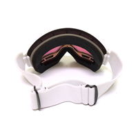 Lunettes de ski et de snowboard en gros, lentille cylindrique double PC, protection UV400, anti-buée, antidérapantes, pour sports de neige