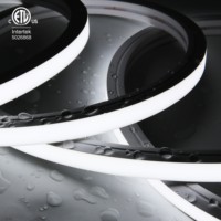 Tira de LED de Silicona 100% Impermeable IP67 de Alta Calidad UL ETL, Luz de Neón Blanca de 6000k para Decoraciones Exteriores