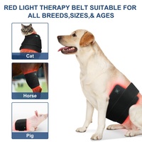 Appareil de luminothérapie infrarouge rouge pour animaux, rechargeable, double longueur d'onde 660nm 850nm, LED enveloppante pour la récupération musculaire des chiens, chats et chevaux