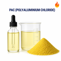 Chlorure de polyaluminium 30% Al2O3 Poudre coagulante CAS 1327-41-9 pH 4.0-6 Concentration efficace 99,99%