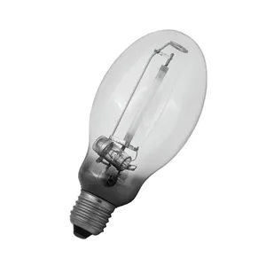 70W 100W 110W 135W 150W 210W 250W 400W 330W Haute Pression Lampe Au Sodium Hps Élèvent La Lumière Ampoule Construit-Dans Allumeur