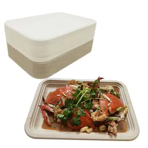 Disposable Compostable Plates Pfas Free Disposable Food Serving Trays Heavy-Duty Compostable Sugarcane Platters Large Paper Plates For Crawfish Serving