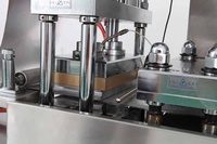 Machine d'emballage blister à grande vitesse pour l'usine
