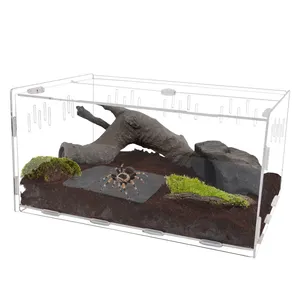ODM rettile terrario acquario acquario allevamento acrilico tarantola custodia scatola di alimentazione degli insetti Habitat per tarantola ragno serpente