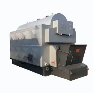 DZL Series Easy Operation Chain/Fixed Grate Industrial Coal Wood Bagasse Biomass Fired Steam Boiler