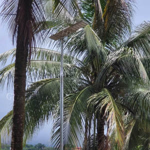 Farola Híbrida <span class=keywords><strong>LED</strong></span> Serie B15, Reflector de Alta Potencia de 1000W para Estadios, Jardines y Exteriores, Cámara Integrada, Luz Solar para Calle Todo en Uno - Product Image 4