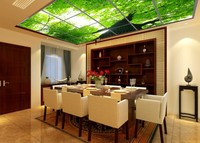 Panneau de Plafond de Ciel Led Encadré 36W 600x600
